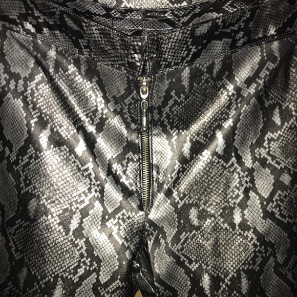 3 Piece Snakeskin Print Stage Wear Set by Pleasure Addict - Jacket, Skirt, Pants - Picture 8 of 15